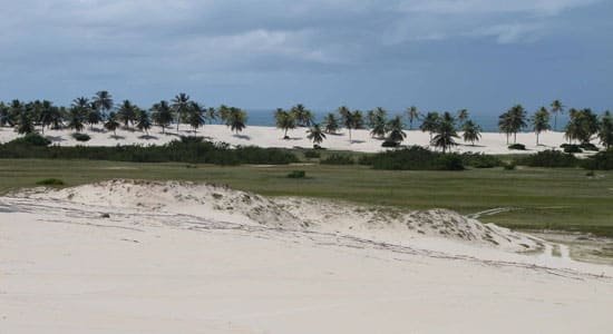 https://bahiaencantadatour.com.br/services/uploads/_original/passeio-mangue-seco-587425.jpg