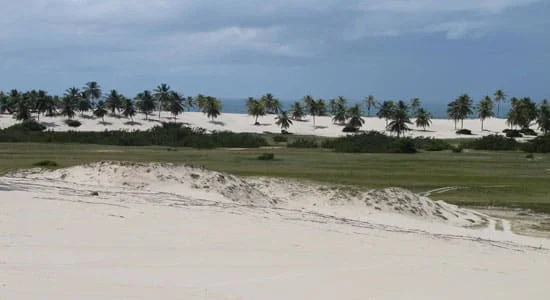 Passeio Mangue Seco 02
